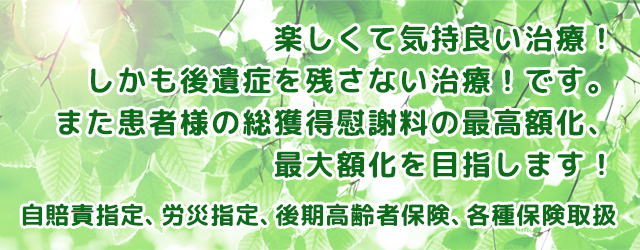 プライバシーポリシー | 岐阜市で交通事故治療、むち打ち、交通事故対応の接骨院は、伊藤接骨院